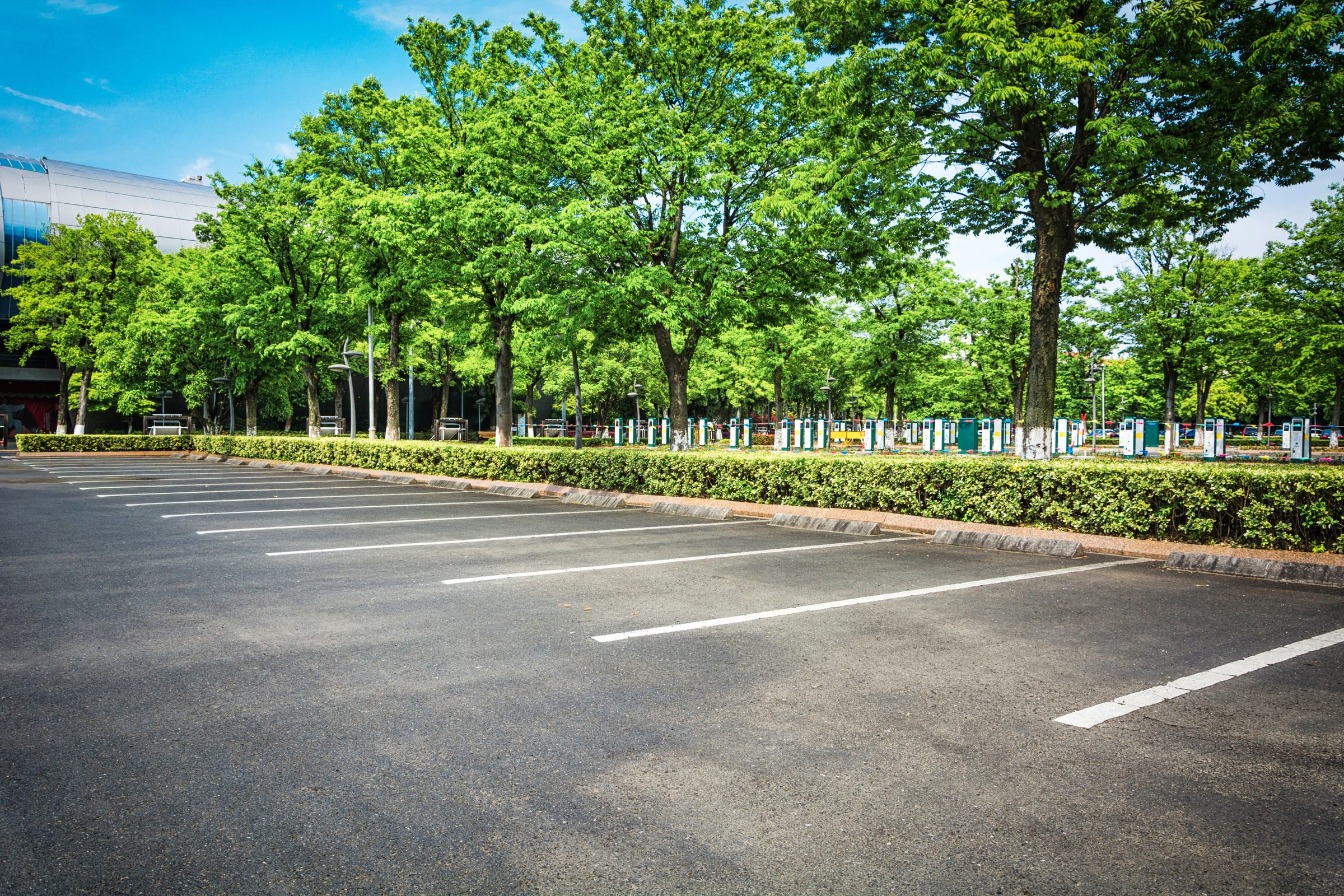 Stationnement extérieur bordé d'arbres avec lignes blanches